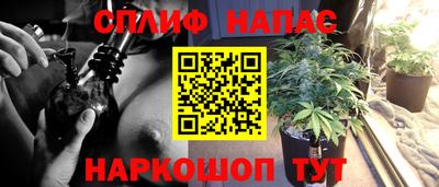 сатива Апрелевка
