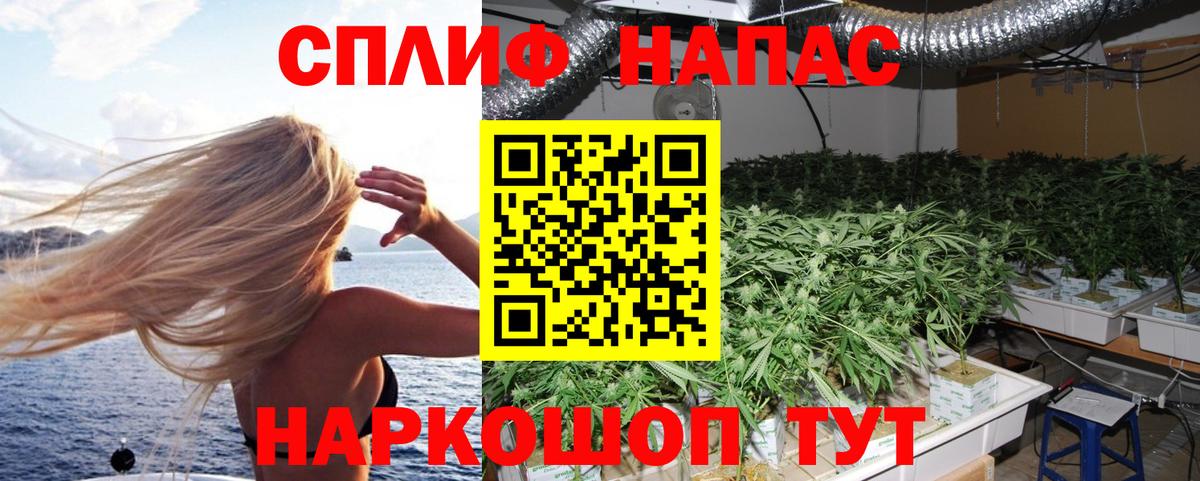 Бошки марихуана AK-47 Вятские Поляны